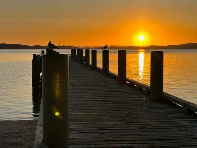 Sunset over the local pier with seagulls