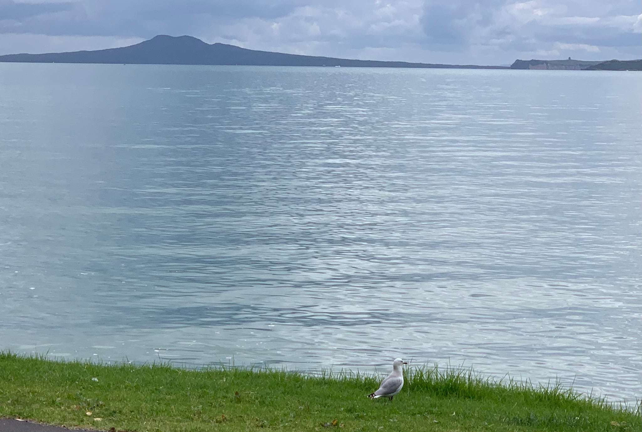 View of Rangitoto from the coast